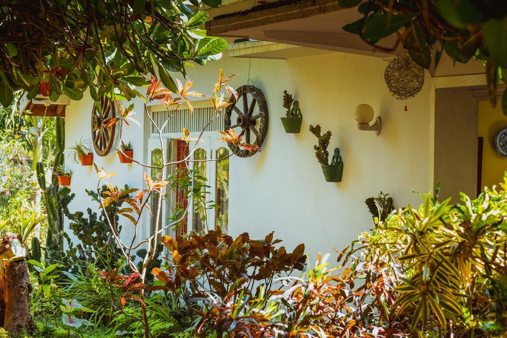 Shammie Guest House Хикадува Екстериор снимка